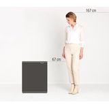 Brabantia - Bo Touch Bin - Prullenbak - Platinum - 60 Liter