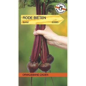 Oranjebandzaden -  Rode Bieten Solist (Monogerm)