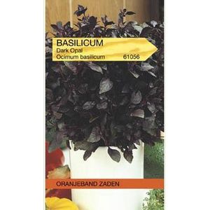 Basilicum Dark Opal