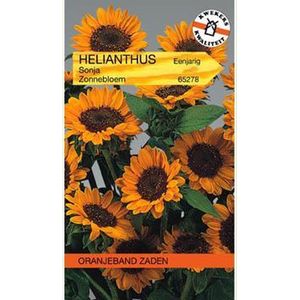 Oranjebandzaden -  Helianthus, Zonnebloem Sonja