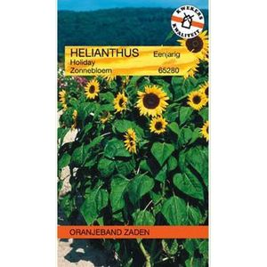 Oranjebandzaden -  Helianthus, Zonnebloem Holiday
