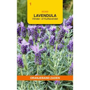 Oranjebandzaden -  Lavendel, Vlinder- of Kuiflavendel