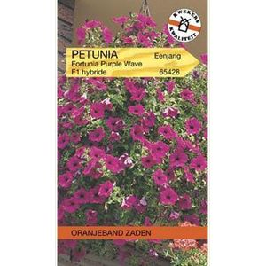 Oranjebandzaden -  Petunia Purple Wave F1, Fortunia serie