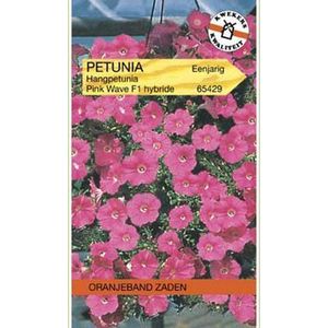 Oranjebandzaden -  Petunia Pink Wave F1, Fortunia serie