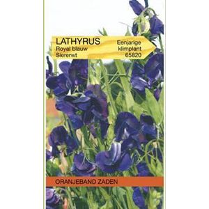 Lathyrus, Reuk- of siererwt Royal, blauw