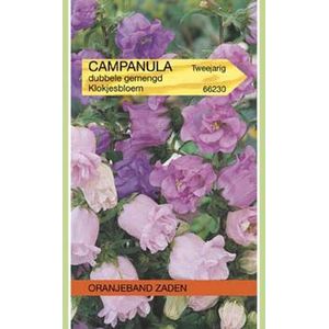 Oranjebandzaden -  Campanula , Mariëtteklokje dubbelbloemig gemengd