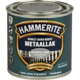 Hammerite Metaallak Zijdeglans Zilvergrijs 250ml