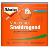 Alabastine Voorstrijk Sneldrogend Transparant 5 liter - Voorstrijkmiddel