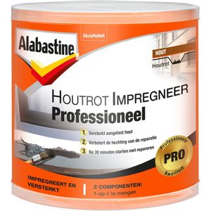 Alabastine - Houtrot Impregneer - 120 Ml - Voorbehandeling Houtrotvuller