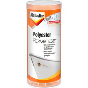 Alabastine Metaal en Polyester Reparatieset - 250 gram - Transparant - 1 stuk