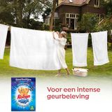 Robijn - Intense Morgenfris - Geurbuiltjes - 3 Sachets