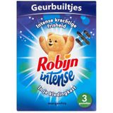 Robijn - Intense Morgenfris - Geurbuiltjes - 3 Sachets