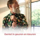 Robijn - Intense Geurbuiltjes - 3 Stuks - Voor Langdurige Frisheid