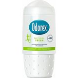 2+1 gratis: Odorex Deodorant Roller Natural Fresh 50 ml