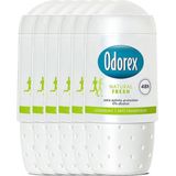 Odorex Deodorant Roller Natural Fresh - Deodorant - 6x 50 ml - Voordeelverpakking