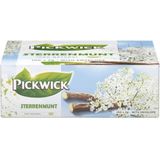 Thee pickwick sterrenmunt 100x2gr met envelop | Pak a 100 stuk