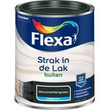 Flexa - Strak in de Lak Buitenlak - Monumentengroen - Zijdeglans - 0.75 L