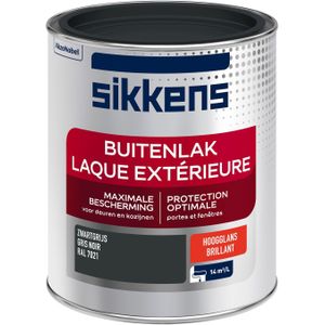 Buitenlak Hoogglans - RAL 7021 - 750 ML