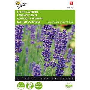 Buzzy Zaden Lavendel - Lavandula angustifolia