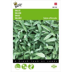 Buzzy Zaden Salie - Salvia officinalis