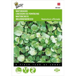 Buzzy Zaden Waterkers - Nasturtium officinalis