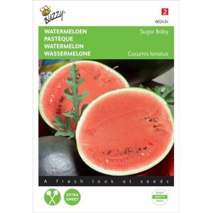 Buzzy Zaden - Watermeloen Sugar Baby - Citrullus lanatus
