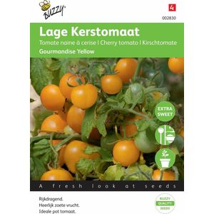 Buzzy® Tomaten Gourmandise (gele cherry patio)