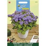 Buzzy® Ageratum zaden - Blue Mink