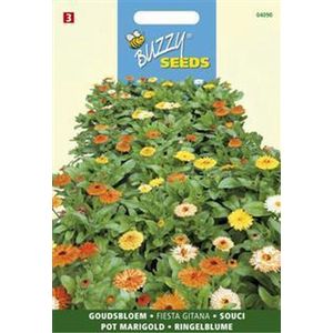 Buzzy Zaden - Goudsbloem Fiesta Gitana (Calendula)