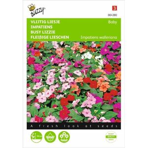 Vlijtig liesje Nana Baby - Impatiens walleriana