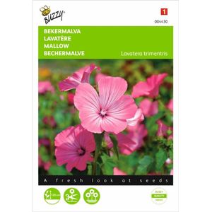 Buzzy® Bekermalva zaden - Roze/Rood