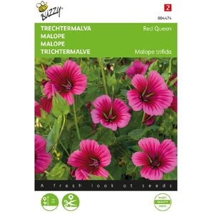 Zaden malope trechtermalva red queen 1.5 gram - Buzzy