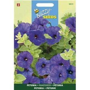 Petunia Raadsheer - Petunia nana compacta