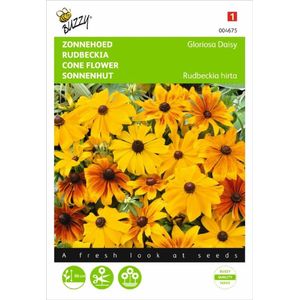 Buzzy Seeds - Rudbeckia Gloriosa Daisy mix