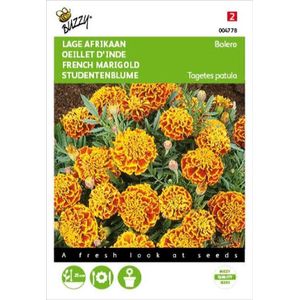 Bolero - Afrikaan - Zaden - Natuurlijke Bestrijding - 100 Gr