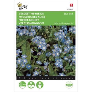 Buzzy Seeds Zaden Vergeet-me-nietje Blauw | Plantenzaden