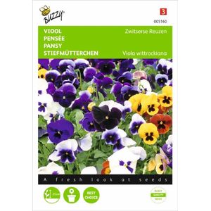 Buzzy Seeds Zaden Viool Zwitserse Reuzen | Plantenzaden