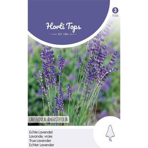 Hortitops - Echte Lavendel - Lavandula Officinalis