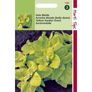 Hortitops Zaden - Melde