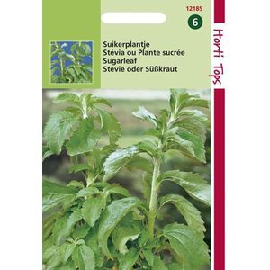 Stevia - Suikerplantje of Honingkruid