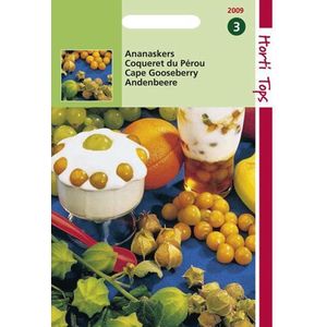 Hortitops Zaden - Ananaskers - Physalis Edulis (Peruviana)