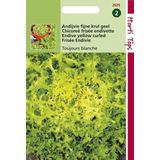 Hortitops Zaden - Krulandijvie Fijne Krul Geel (Altijd Witte)