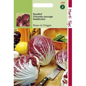 Hortitops Zaden - Radicchio Rosso Di Chioggia (Palla Rossa)-5