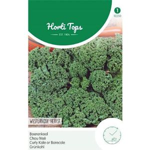 Hortitops Zaden - Boerenkool Westlandse Herfst, Laat Type