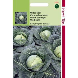 Hortitops Witte kool Brassica oleracea Langedijker Bewaar - Kool - 2 gram