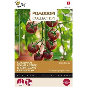 Buzzy® Pomodori groentezaad Kerstomaat (Lycopersicon esculentum 'Black Cherry')