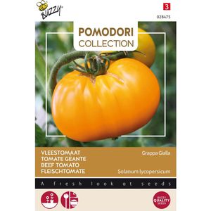 Buzzy® Pomodori groentezaad Vleestomaat (Lycopersicon esculentum 'Grappa Gialla')