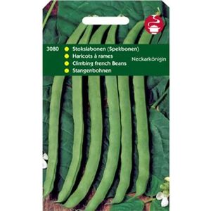 Horti Tops groentezaad Stokslaboon (Phaseolus vulgaris 'Neckarkoningin')