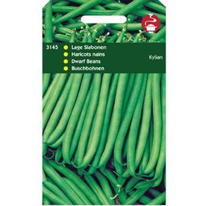 Horti Tops groentezaad Stamslaboon laag (Phaseolus vulgaris 'Kylian')