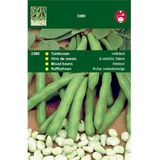 Hortitops Tuinbonen Vicia faba Witkiem 100 gram - Peulvruchten - 100 gram